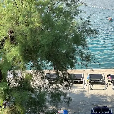 Zita * روغوزنيكا