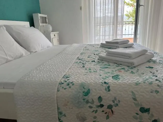 Zita רוגוזניצה