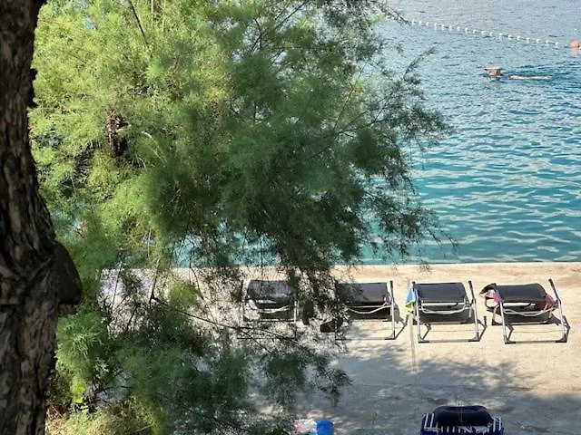 Zita * Rogoznica (Sibenik-Knin)